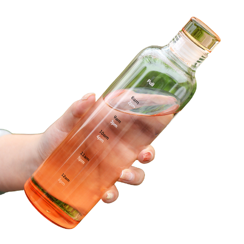 Glass Water Bottle with Cover -  500ml (Orange)